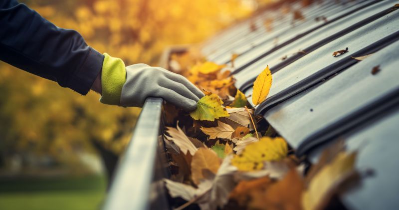 Gutter Covers During Fall Leaf Drop