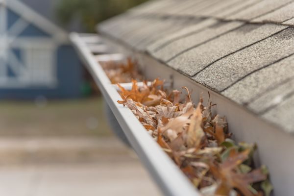 Leaf Barrier Installation in Grayson